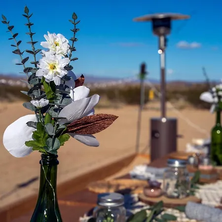 Joshua Tree Village Campground - Glamping Retreat-2